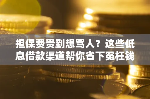 北京担保费贵到想骂人？这些低息借款渠道帮你省下冤枉钱
