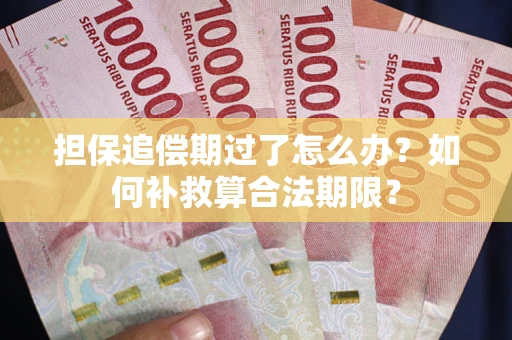 北京担保追偿期过了怎么办？如何补救算合法期限？