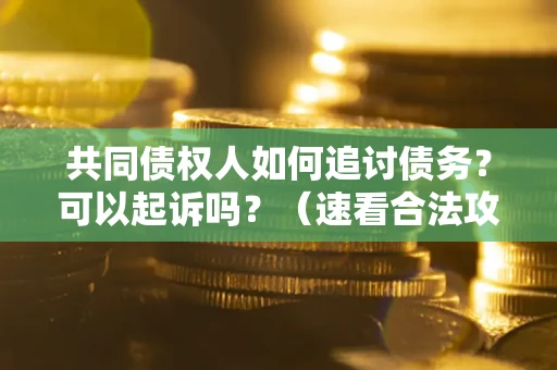 北京共同债权人如何追讨债务？可以起诉吗？（速看合法攻略）